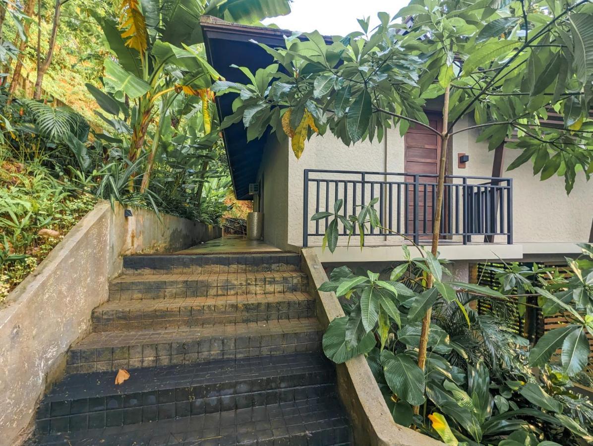 Perch El Nido'S Seaview Villas Overlooking Marimegmeg Ngoại thất bức ảnh