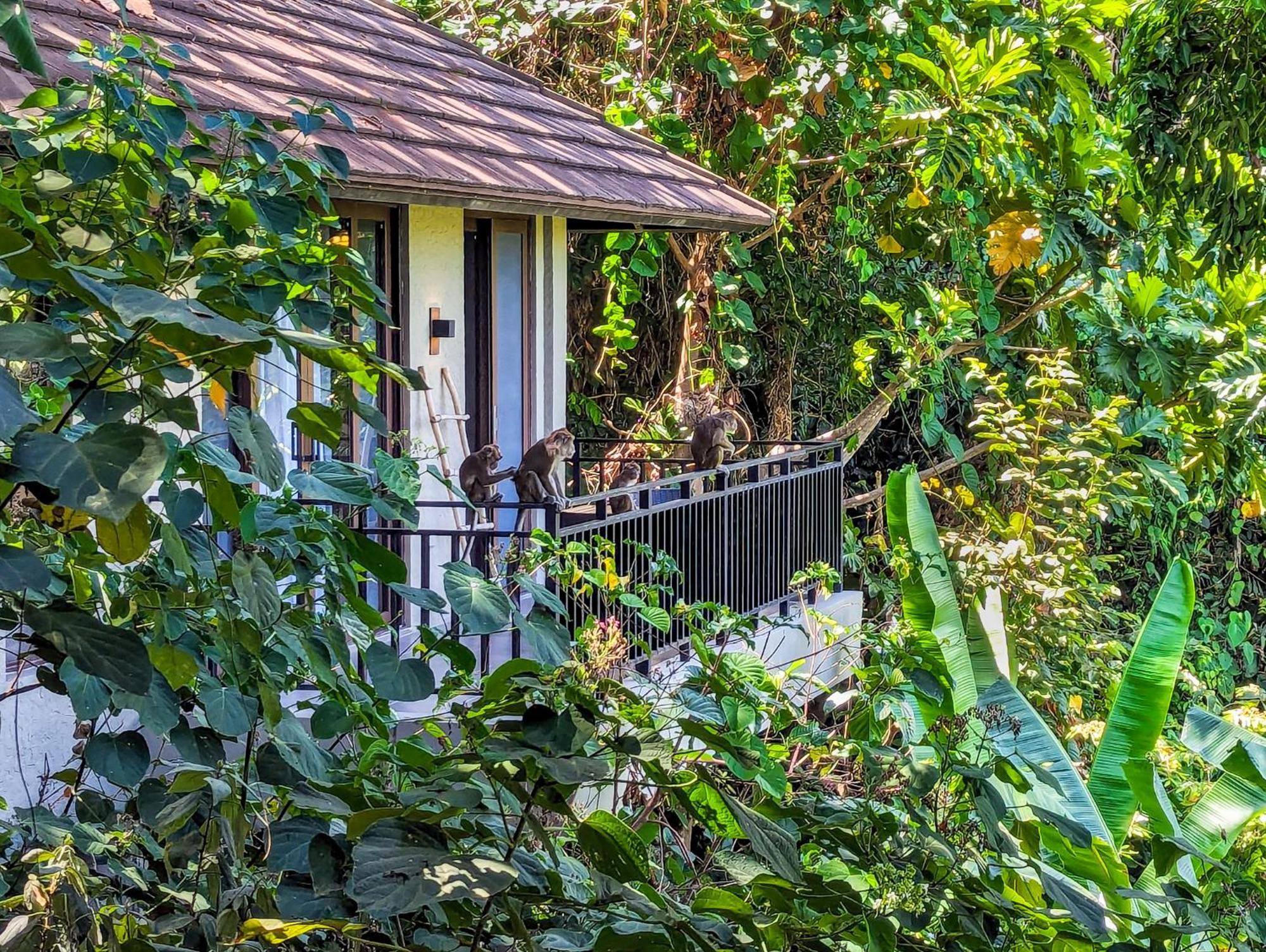 Perch El Nido'S Seaview Villas Overlooking Marimegmeg Ngoại thất bức ảnh